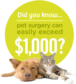 Pets Best Vet Direct Pay